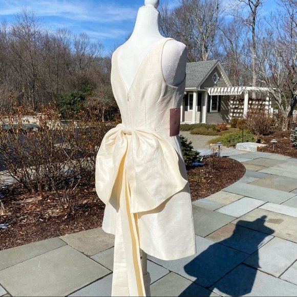 NWT Sachin and Babi Archie Mini Dress in Ivory 4 - Picture 8 of 17